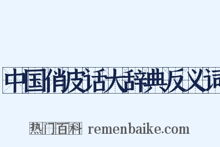 中国俏皮话大辞典反义词是什么意思的图片